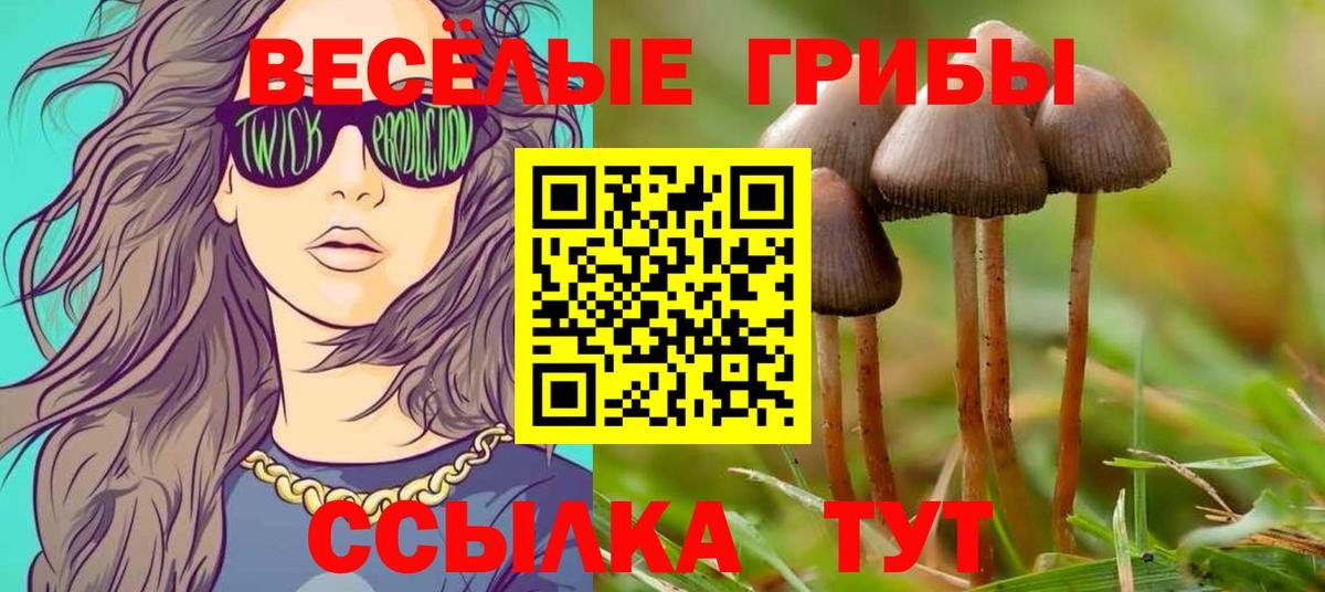 Галлюциногенные грибы MAGIC MUSHROOMS  Галлюциногенные грибы GOLDEN TEACHER  Вход с VPN  Черкесск 